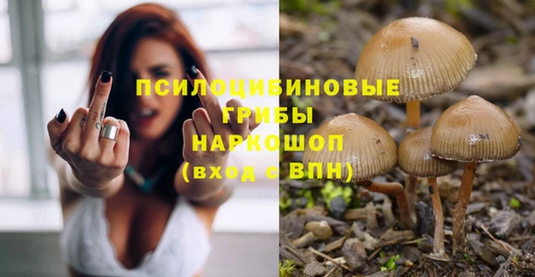 таблы Армянск