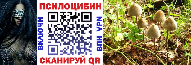 Галлюциногенные грибы Psilocybe  купить наркотики сайты  Нарткала 